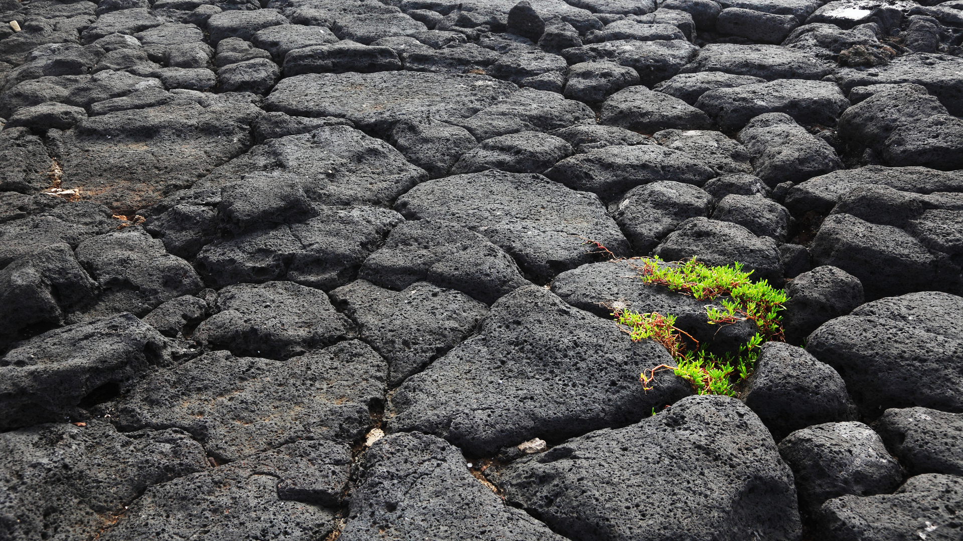 20171230 GMC PHO 258