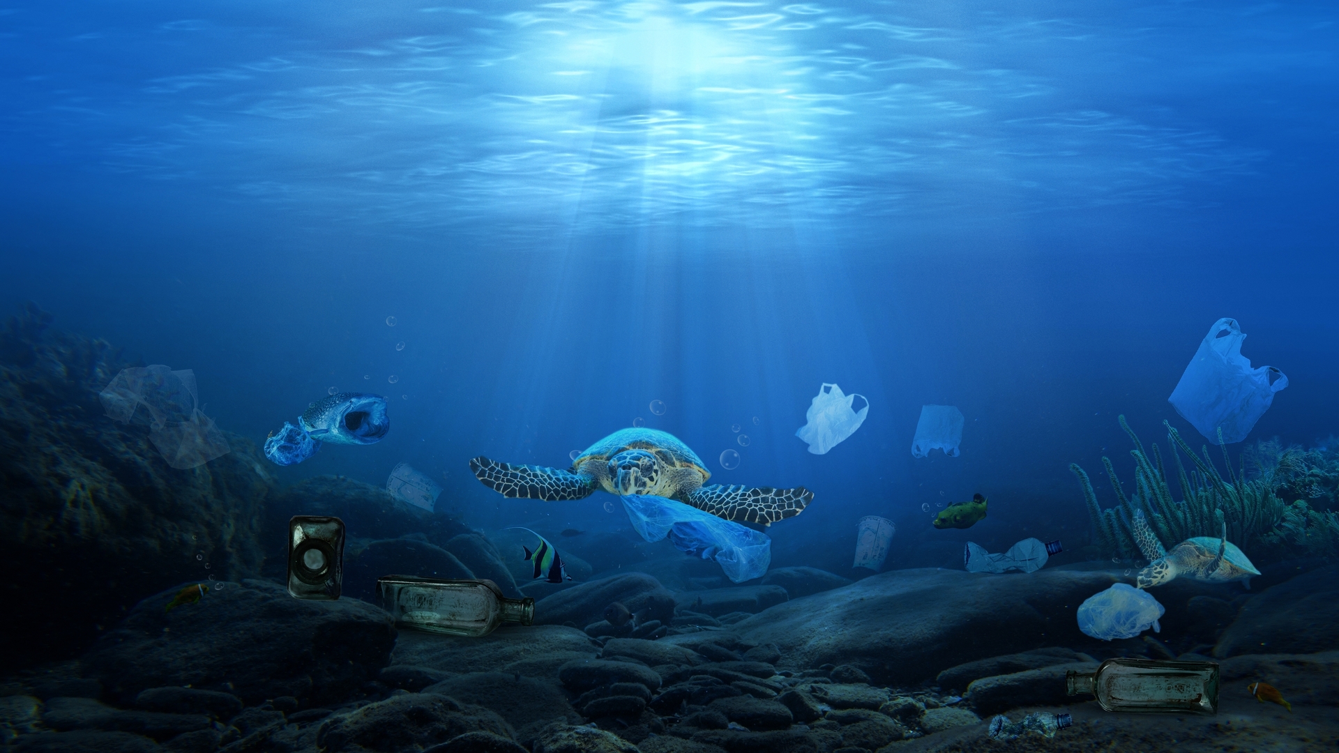 20220608 RW-GMC PHO 1533