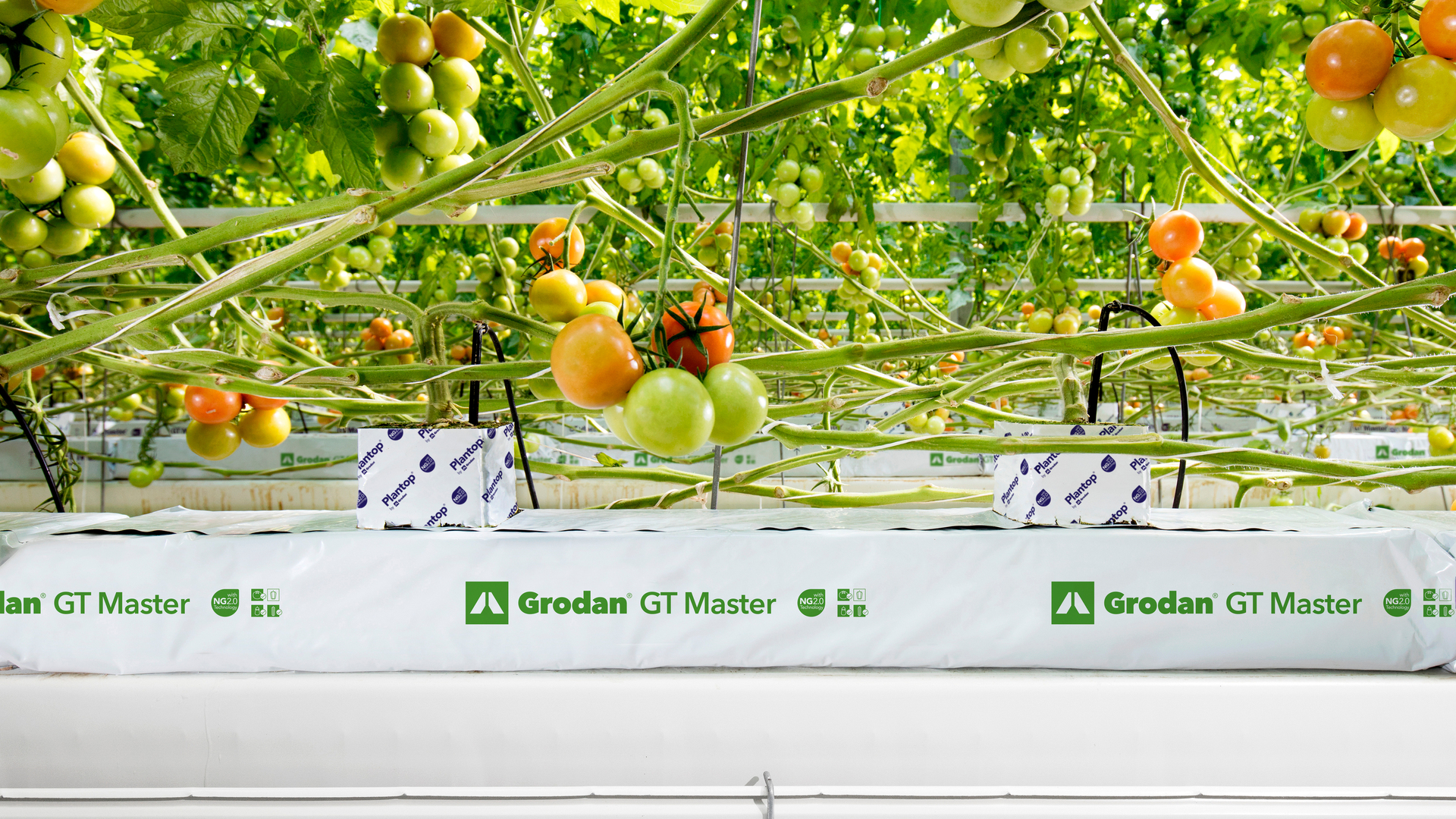 20181022 RW-GR PHO 18