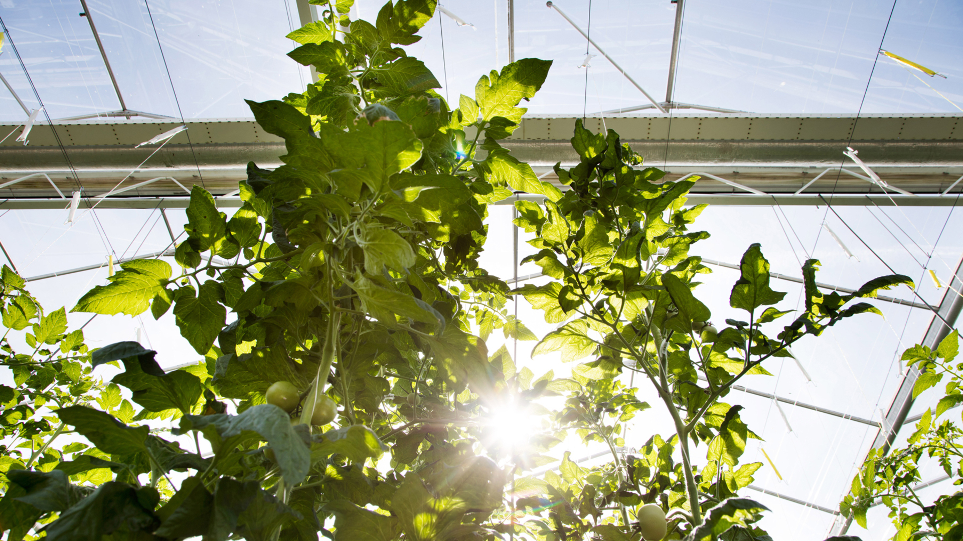 20190703 RW GR PHO 5044