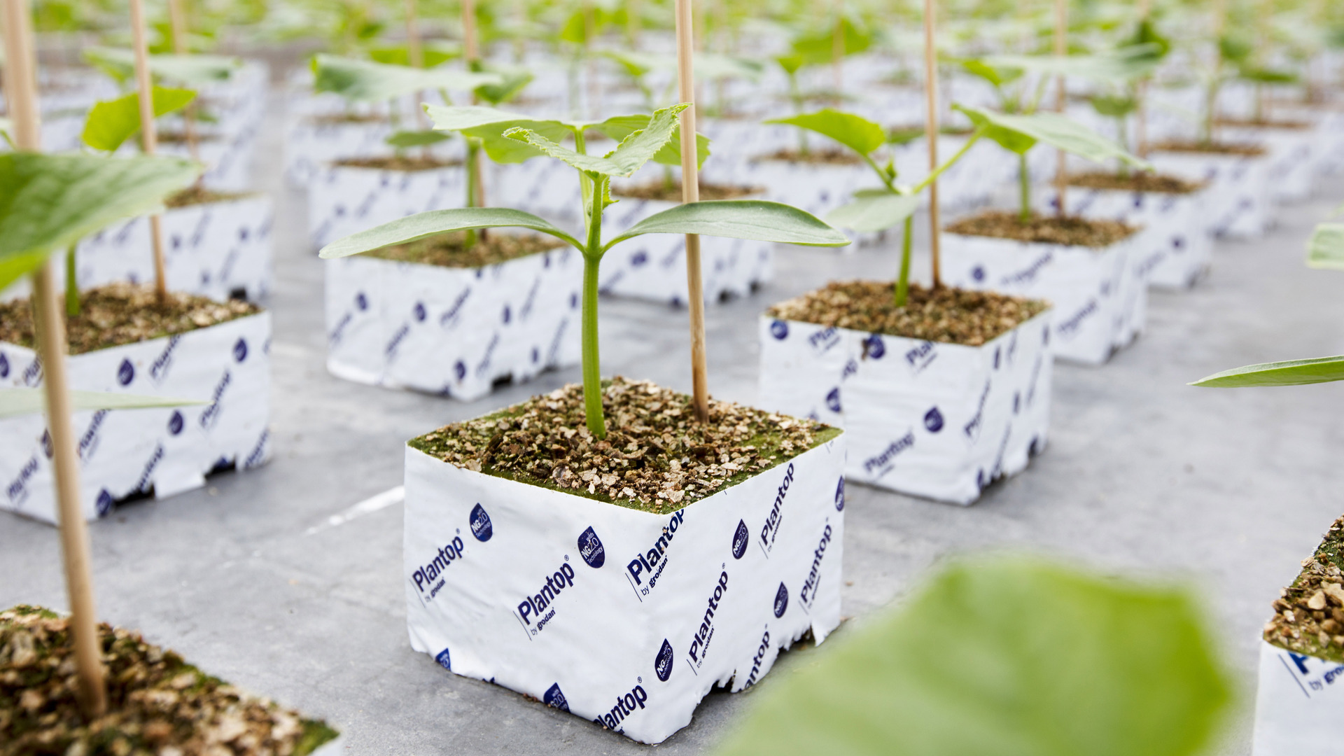 20200211 GR PHO 5113