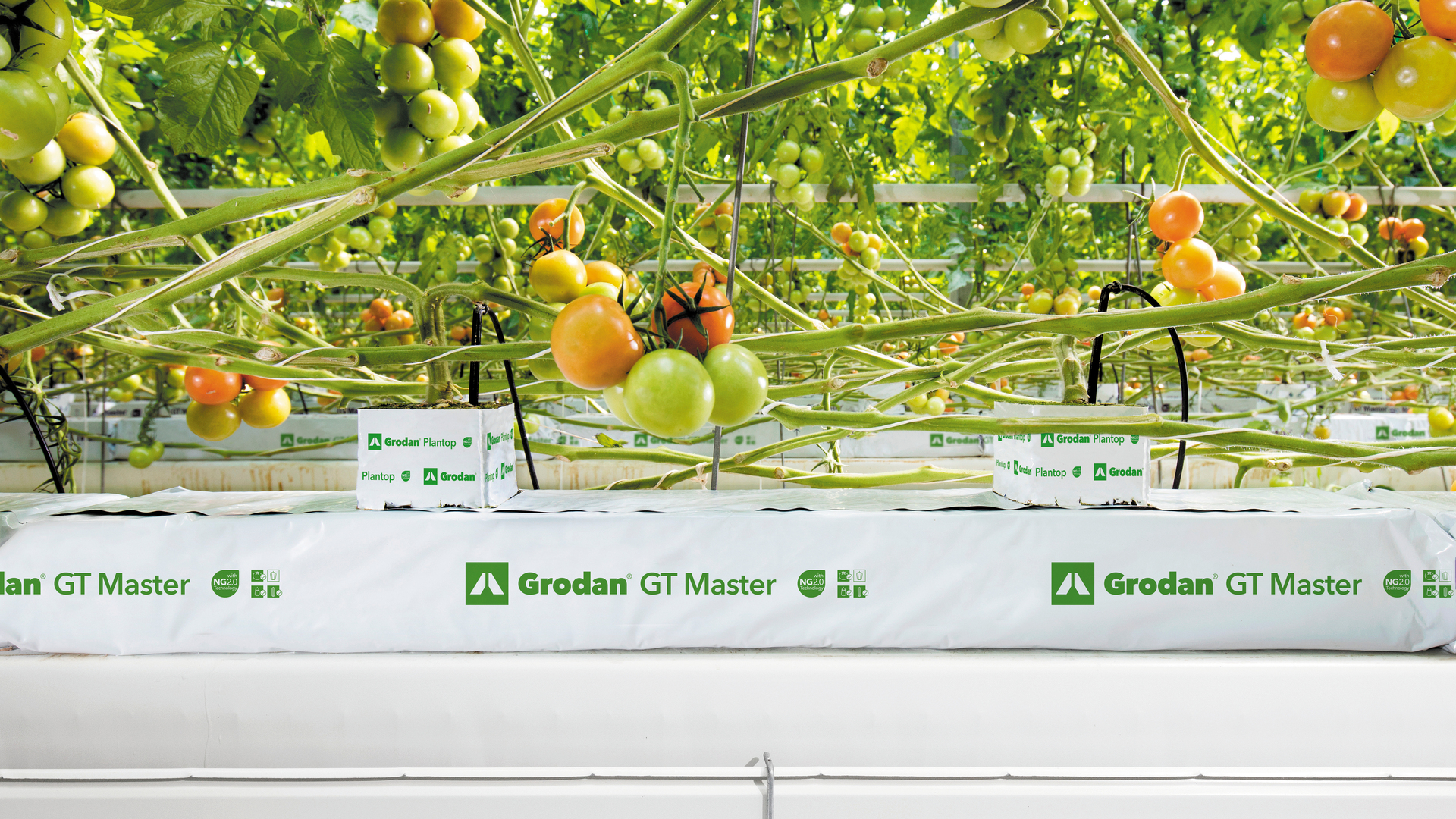 20200410 GR PHO 5167