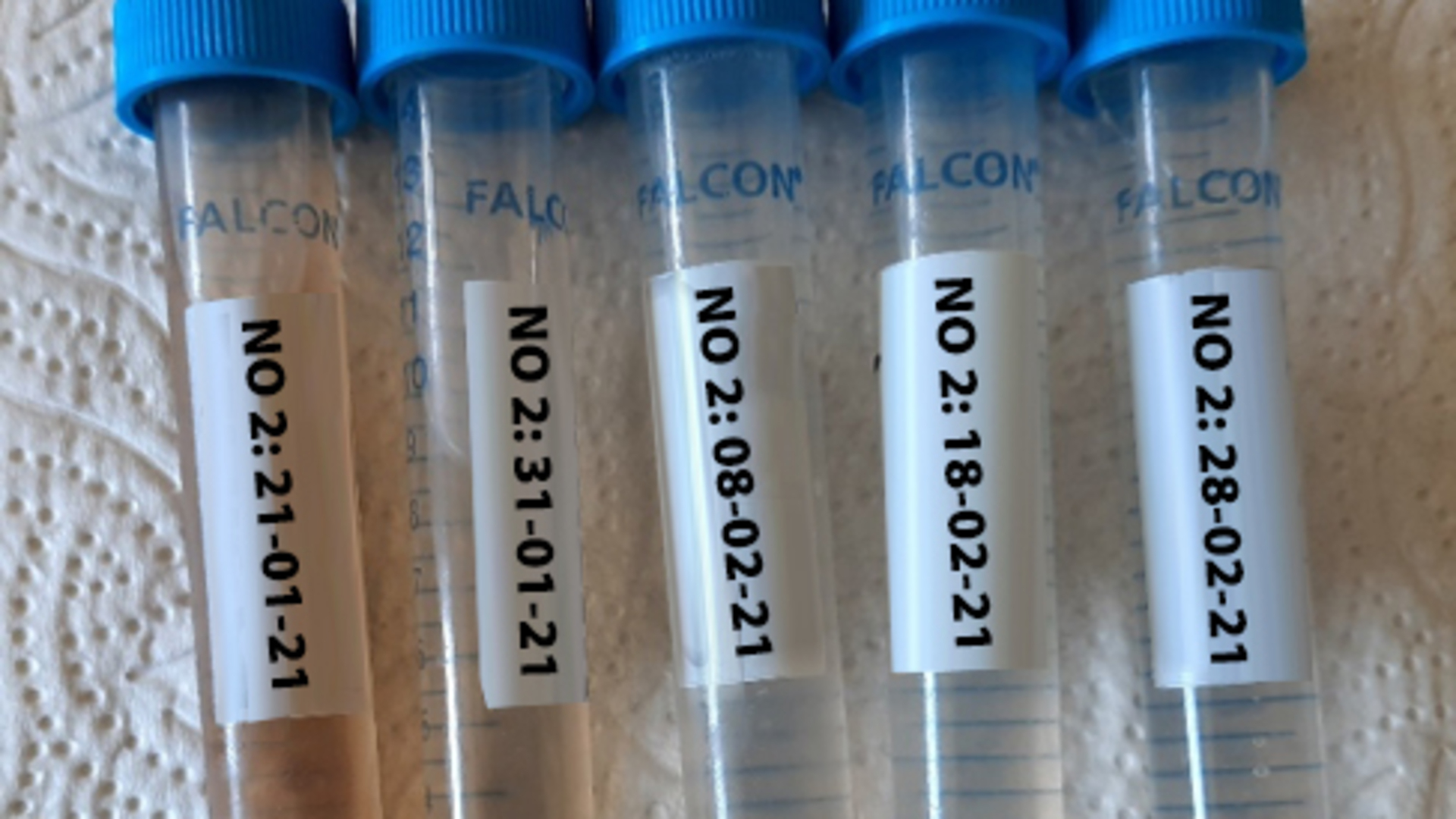 20210520 RW-GR PHO 5460