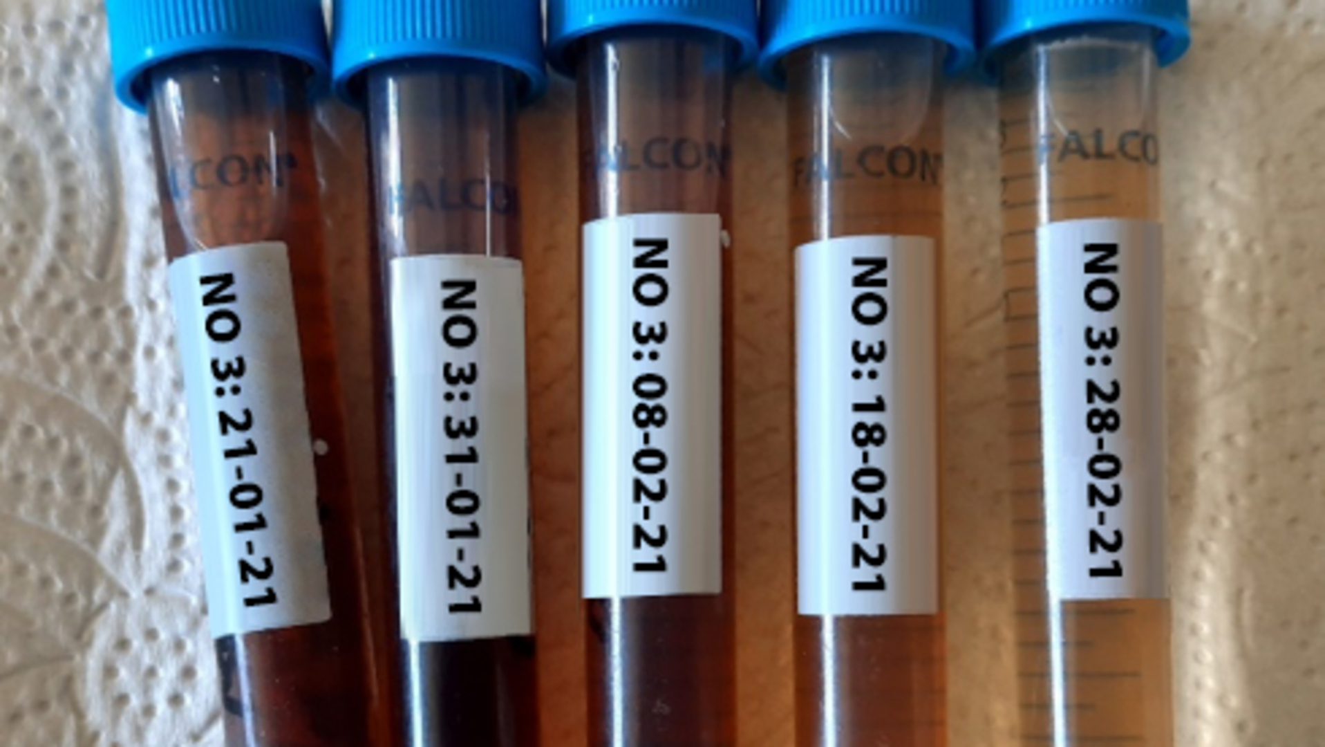 20210520 RW-GR PHO 5460