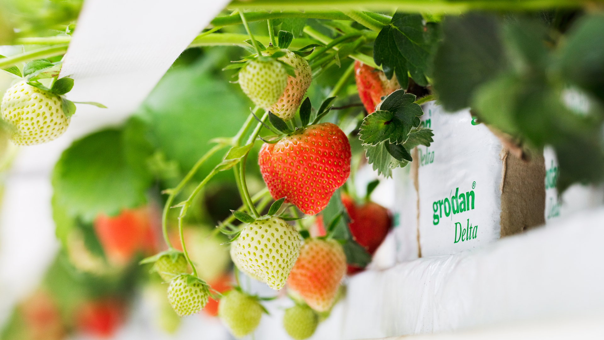 20220628 RW-GR PHO 1017