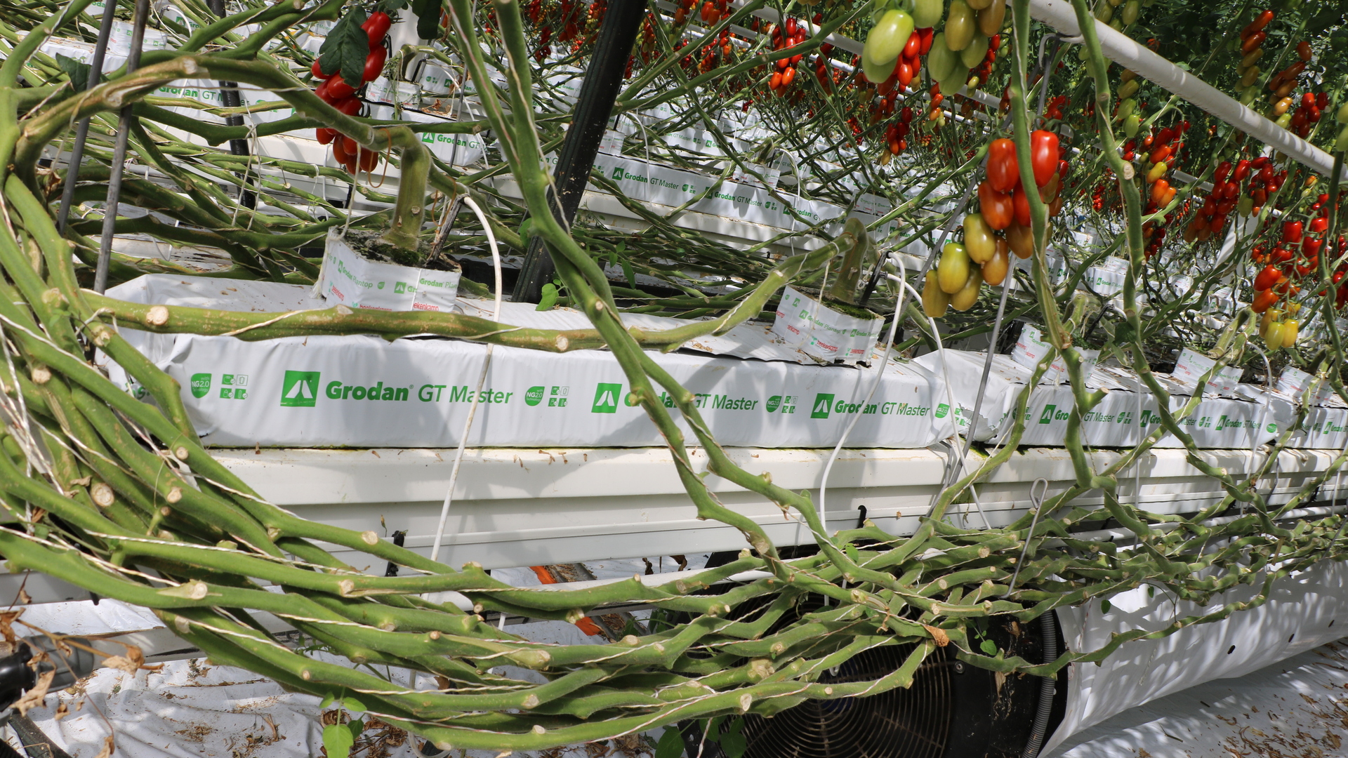 20220630 RW-GR PHO 1033