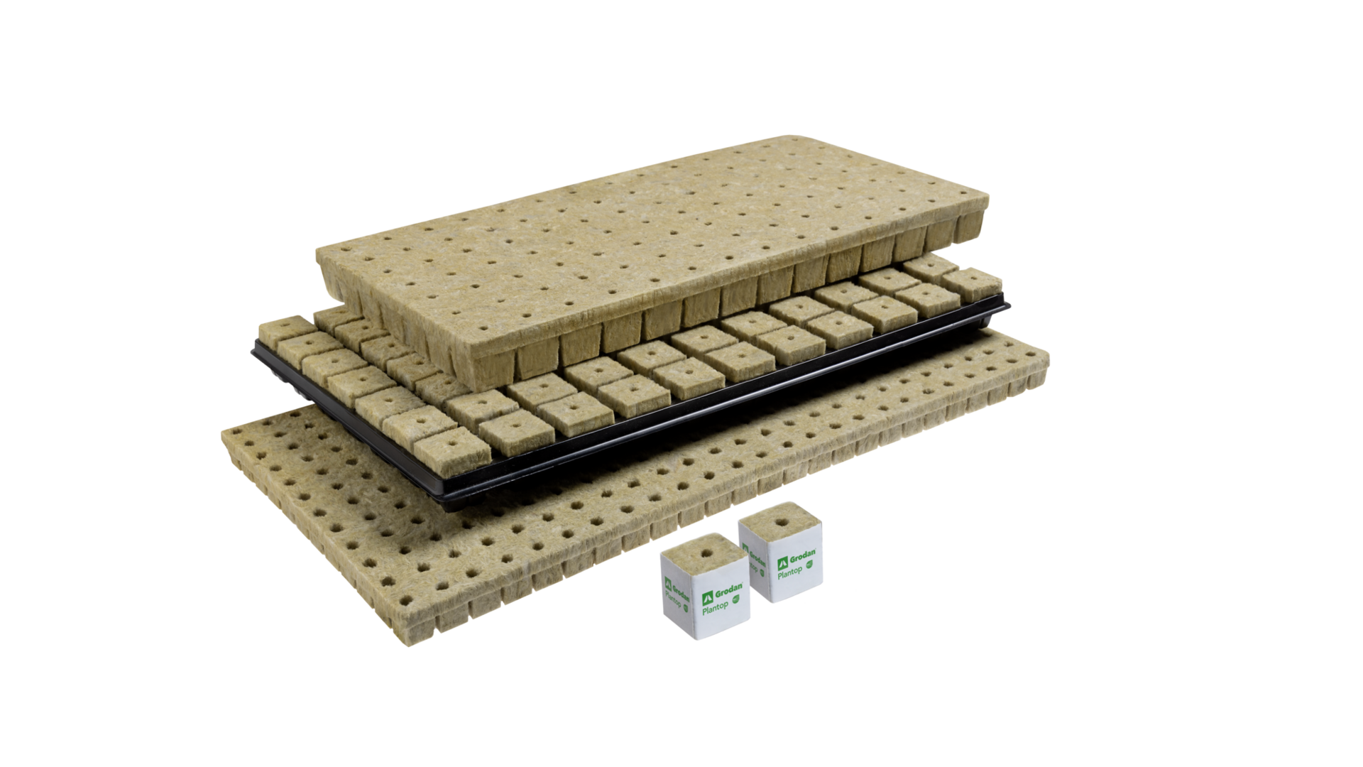 20220721 RW-GR PHO 5747