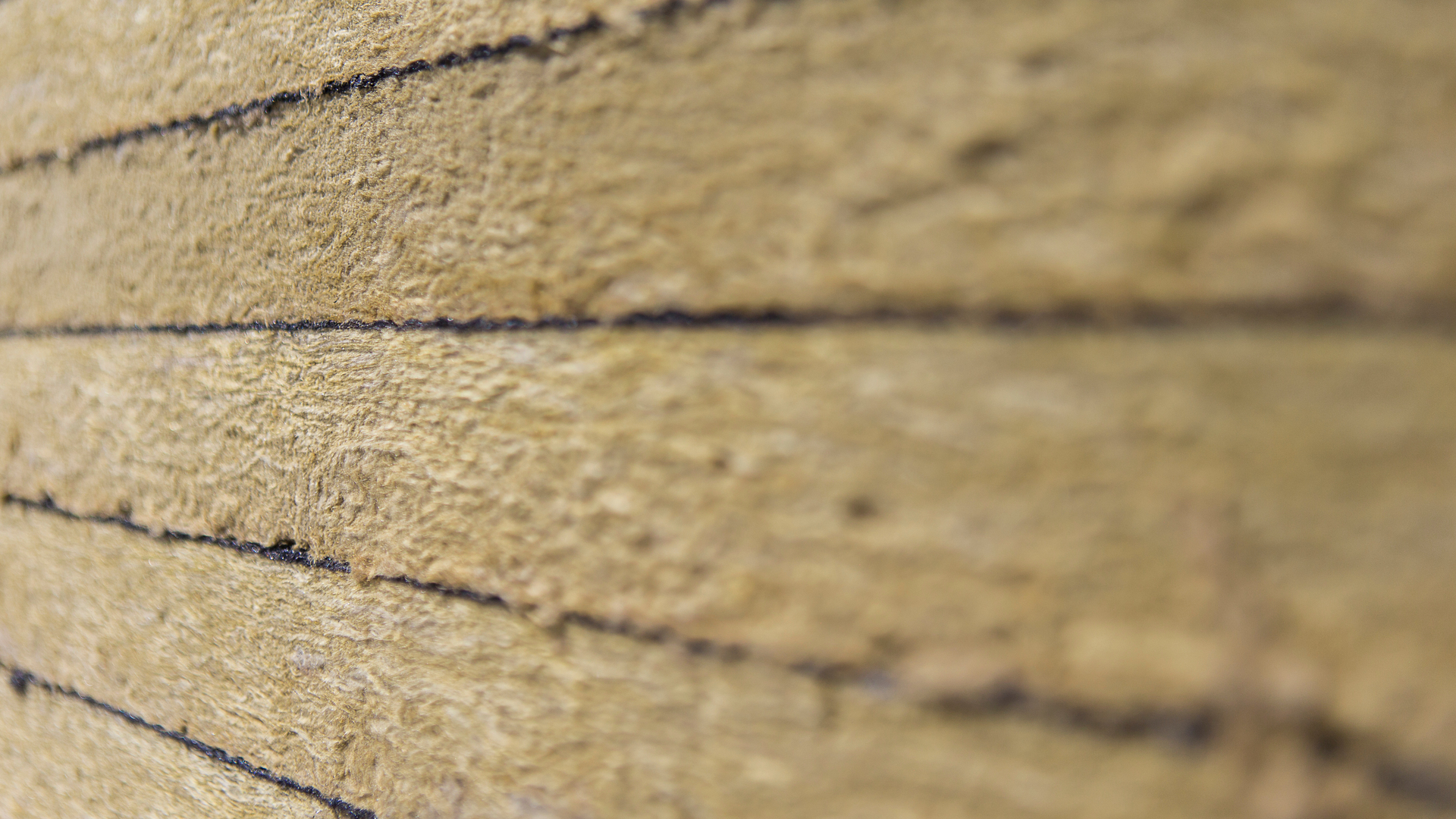 20181109 RWNA PHO 524